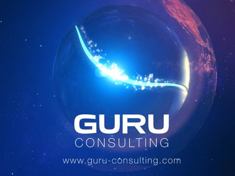 Guru Infotech System
