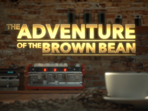 VOP - The Adventure of The Brown Bean